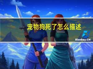宠物狗死了怎么描述