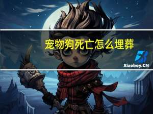 宠物狗死亡怎么埋葬