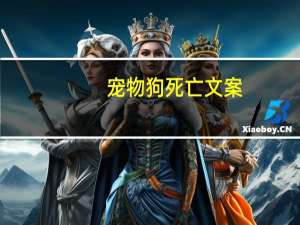 宠物狗死亡文案