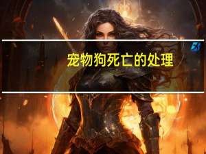 宠物狗死亡的处理