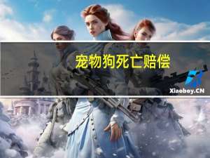 宠物狗死亡赔偿