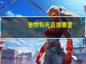 宠物狗死后埋哪里
