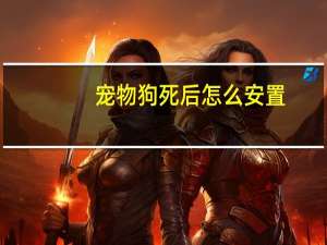 宠物狗死后怎么安置
