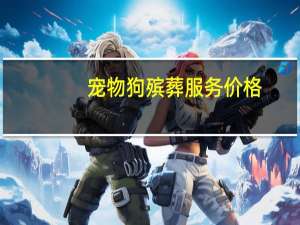 宠物狗殡葬服务价格