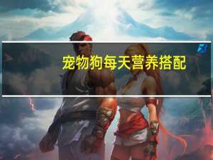 宠物狗每天营养搭配