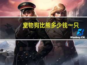 宠物狗比熊多少钱一只