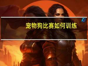 宠物狗比赛如何训练