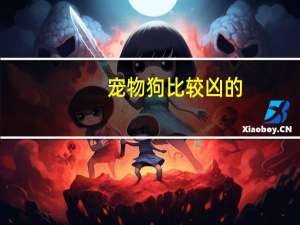 宠物狗比较凶的