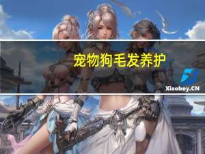 宠物狗毛发养护