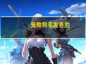 宠物狗毛发卷的
