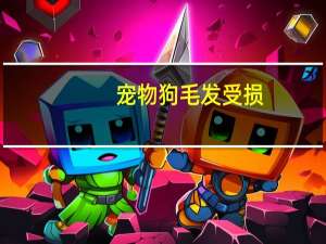 宠物狗毛发受损