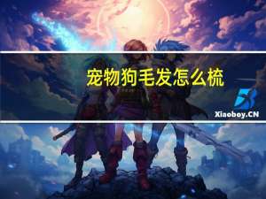 宠物狗毛发怎么梳