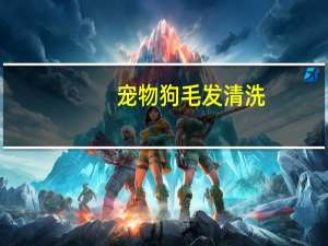 宠物狗毛发清洗