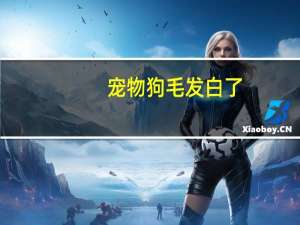 宠物狗毛发白了