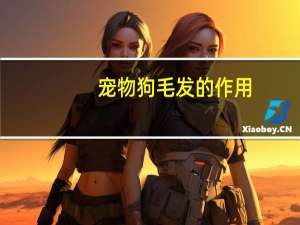 宠物狗毛发的作用