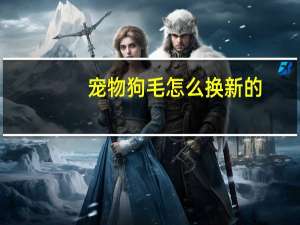 宠物狗毛怎么换新的