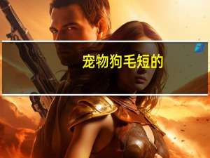 宠物狗毛短的