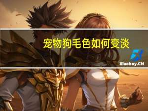 宠物狗毛色如何变淡