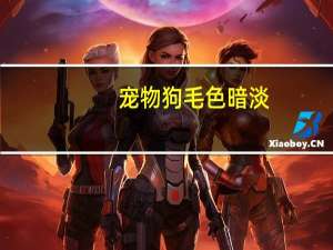 宠物狗毛色暗淡