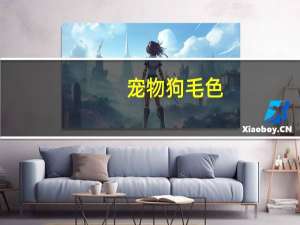 宠物狗毛色