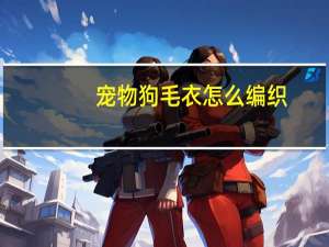 宠物狗毛衣怎么编织