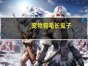 宠物狗毛长虱子