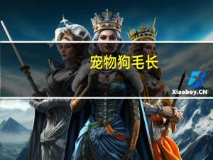 宠物狗毛长