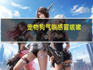 宠物狗气喘感冒咳嗽