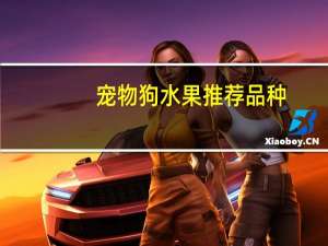 宠物狗水果推荐品种