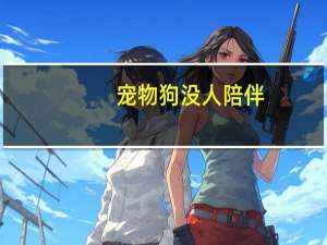 宠物狗没人陪伴