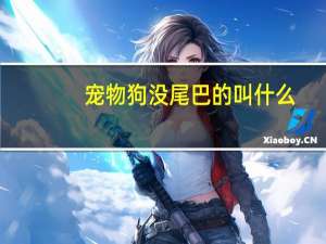 宠物狗没尾巴的叫什么