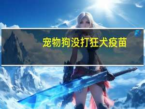 宠物狗没打狂犬疫苗