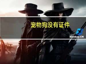 宠物狗没有证件