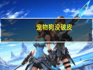 宠物狗没破皮
