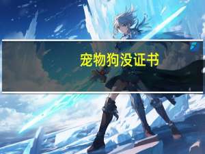 宠物狗没证书