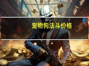 宠物狗法斗价格