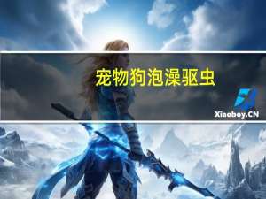 宠物狗泡澡驱虫