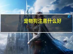 宠物狗注意什么好