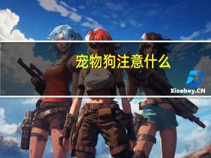 宠物狗注意什么
