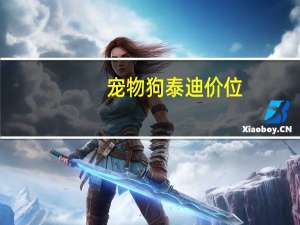 宠物狗泰迪价位