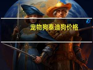 宠物狗泰迪狗价格