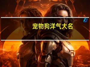 宠物狗洋气大名