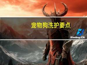 宠物狗洗护要点