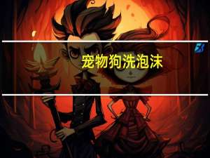 宠物狗洗泡沫