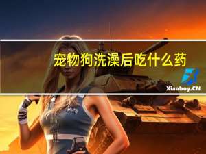 宠物狗洗澡后吃什么药