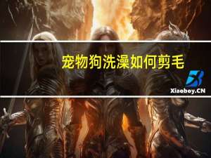 宠物狗洗澡如何剪毛