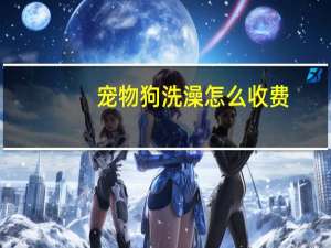 宠物狗洗澡怎么收费