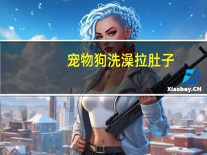 宠物狗洗澡拉肚子