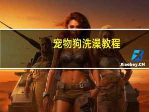 宠物狗洗澡教程