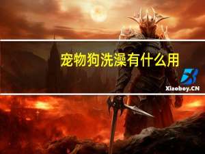 宠物狗洗澡有什么用